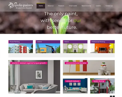 web designing company in tirunelveli and Tenkasi - Solo Paints